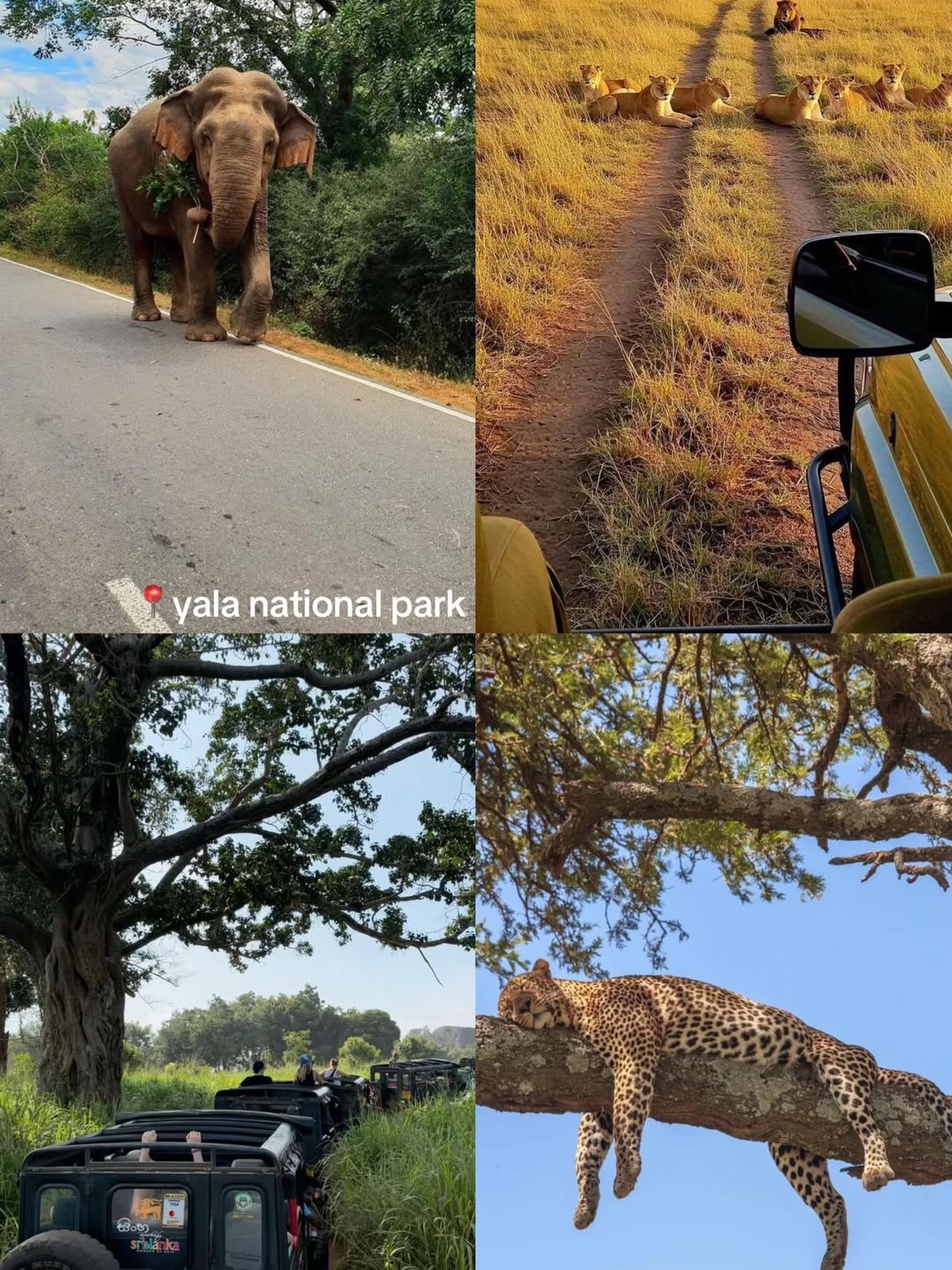 SnapInsta.to_611246353_17924669760196482_6984962276410593898_n.jpg SnapInsta.to_611246353_17924669760196482_6984962276410593898_n.jpg